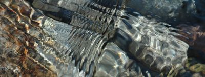 20070126160255-agua03.jpg