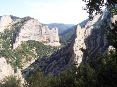 20070827233427-vadiello01.jpg